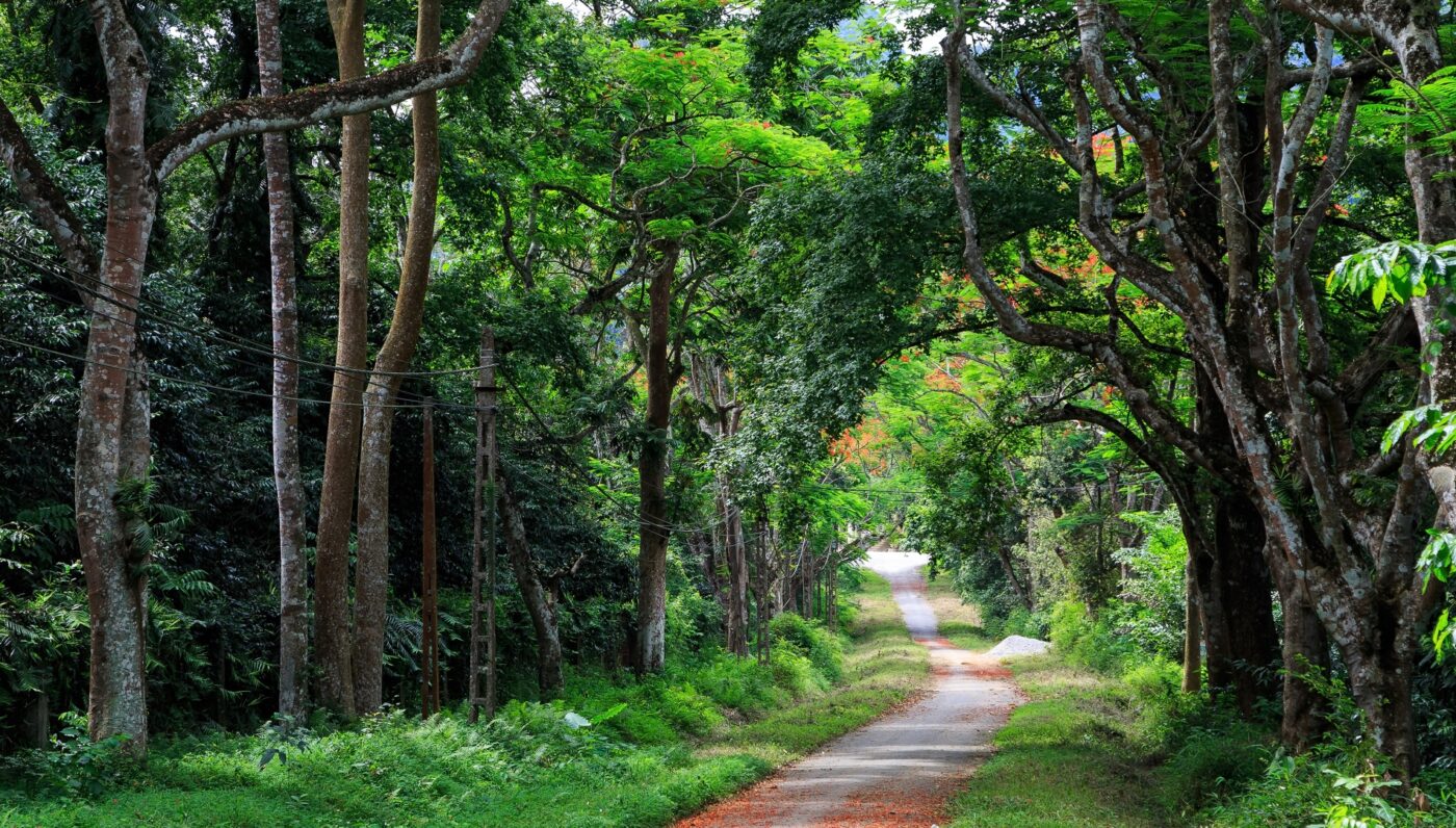 CUC PHUONG – VAN LONG WETLAND RESERVE ONE DAY TOUR
